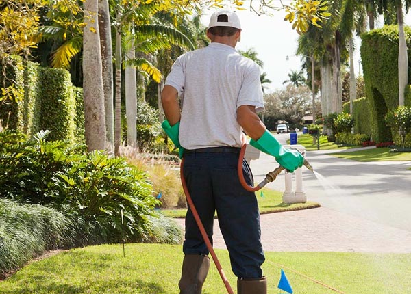 About Sprankle Mills PA Pest Control